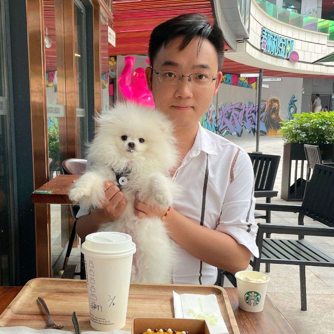 狗笑沉默的照片