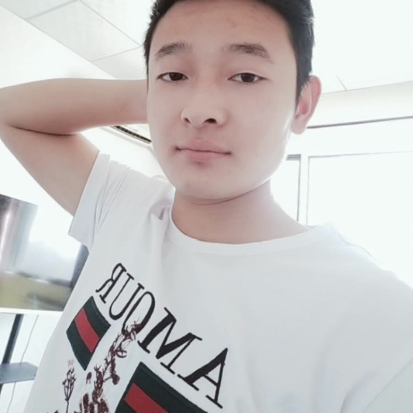 小天鹅演变丰富的照片