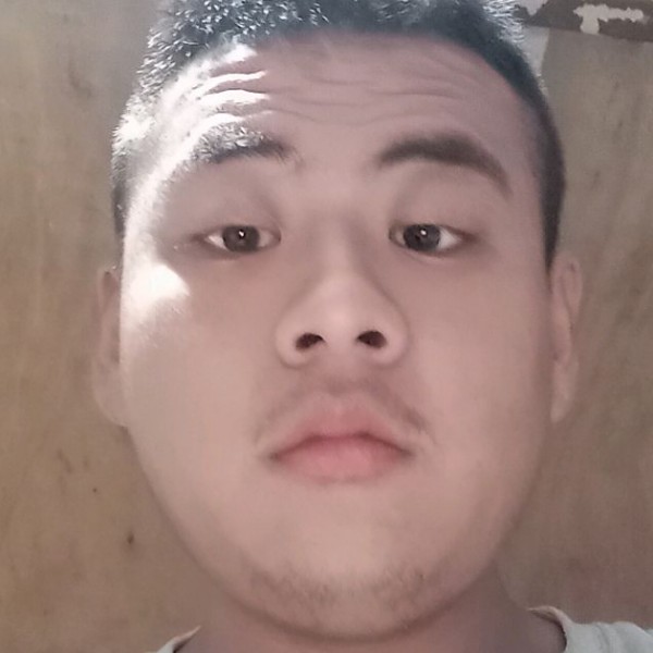 野性还枫叶的照片