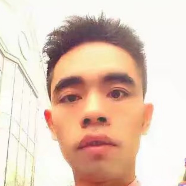 舒适和蜗牛的照片