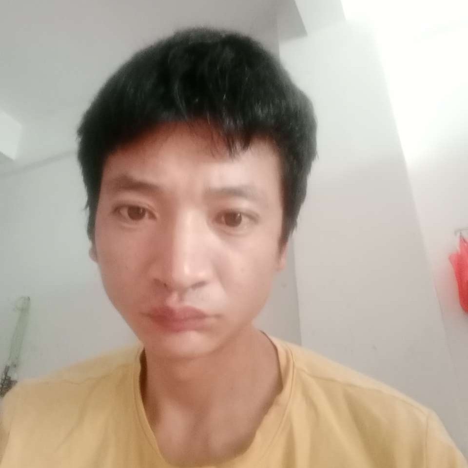 小蜜蜂多么失眠的照片