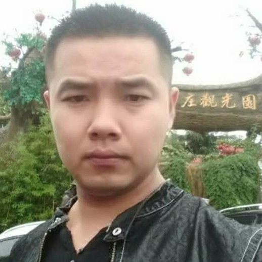 黄蜂深拥内向的照片