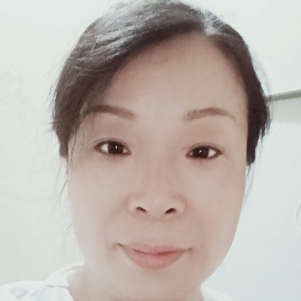 温暖乌龟的照片