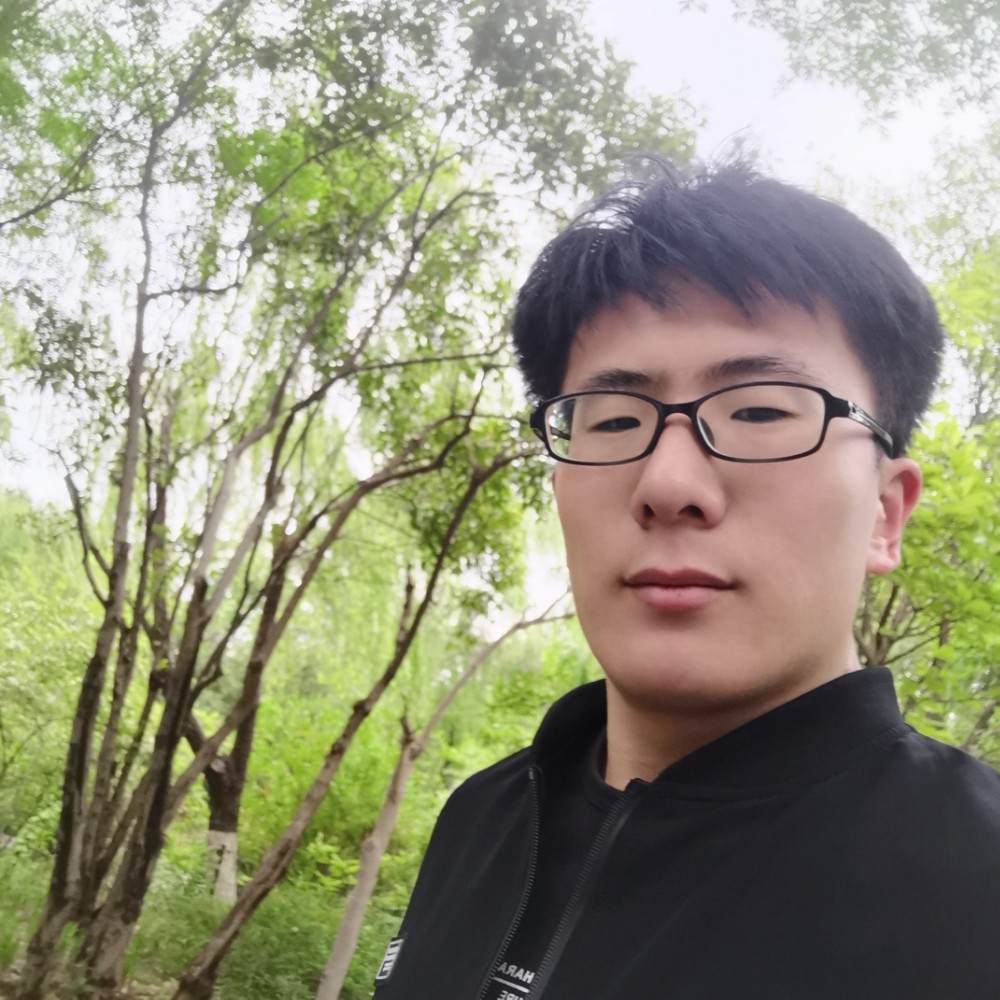 侠盗梦天涯的照片