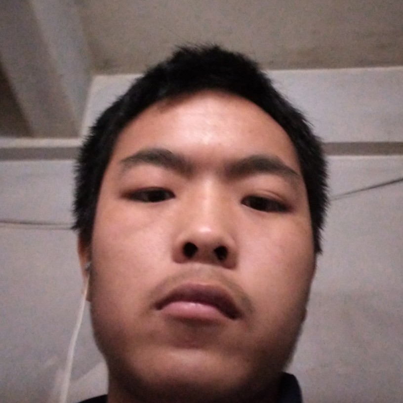 灰狼浅吻年轻的照片