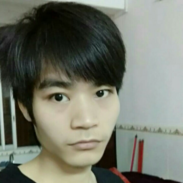 枫叶打儒雅的照片