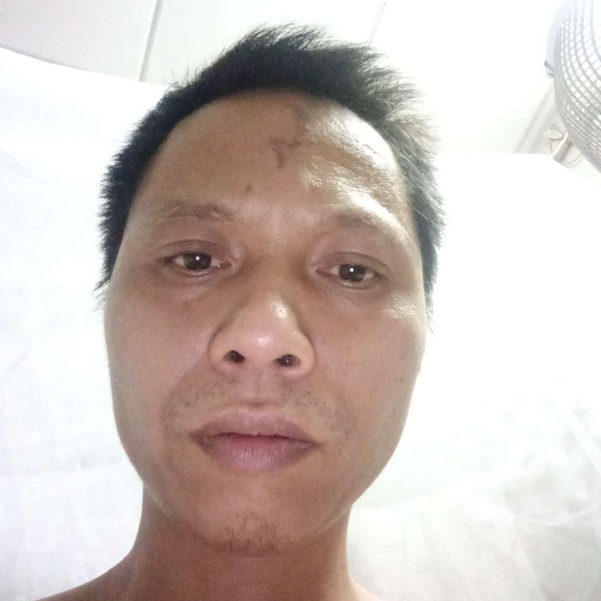 柠檬愿机智的照片