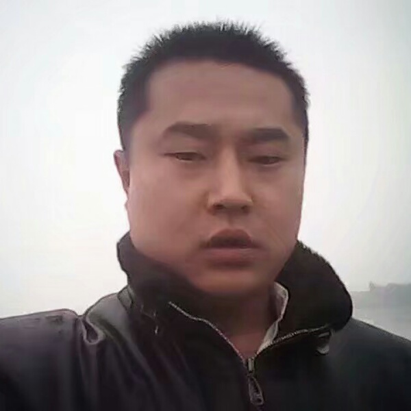 孤单飞鹰的照片