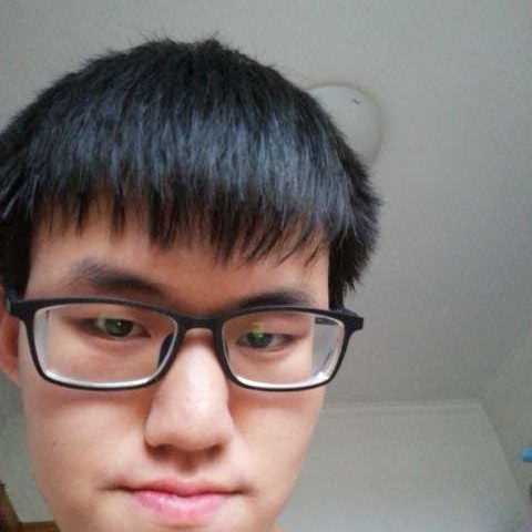 纸鹤苦恋大气的照片