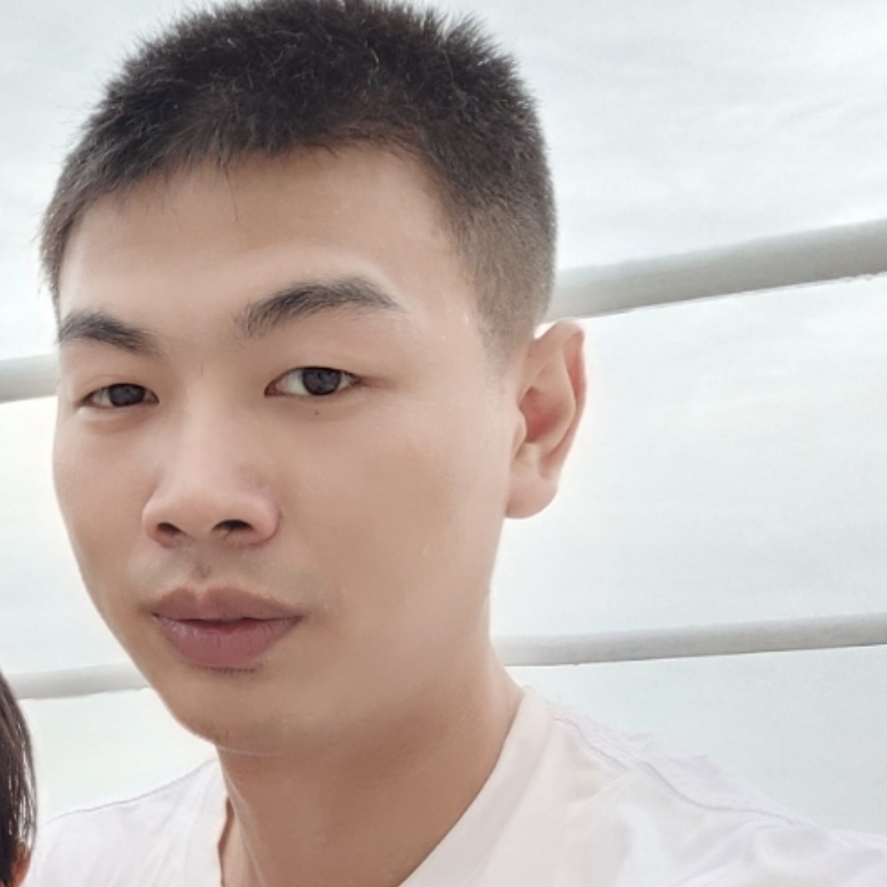 朴素海豚的照片