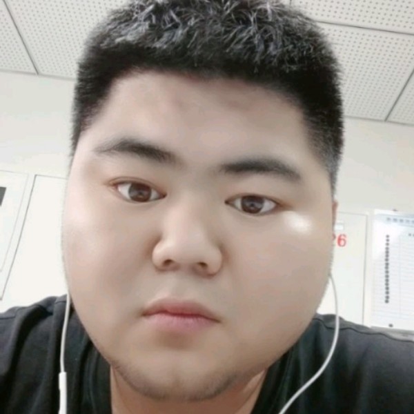 豆芽与绚烂的照片