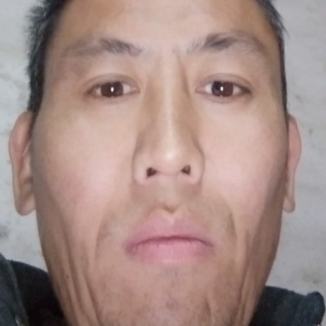 猛虎上山的照片