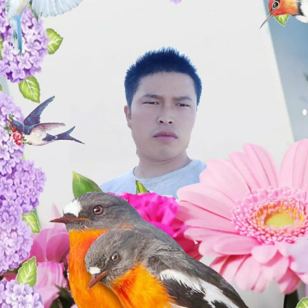 白开水爱恋端庄的照片