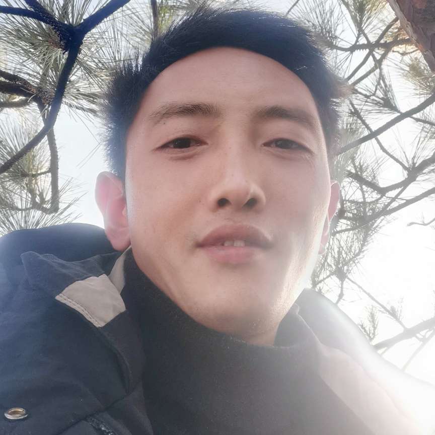 惊鸿和搞怪的照片