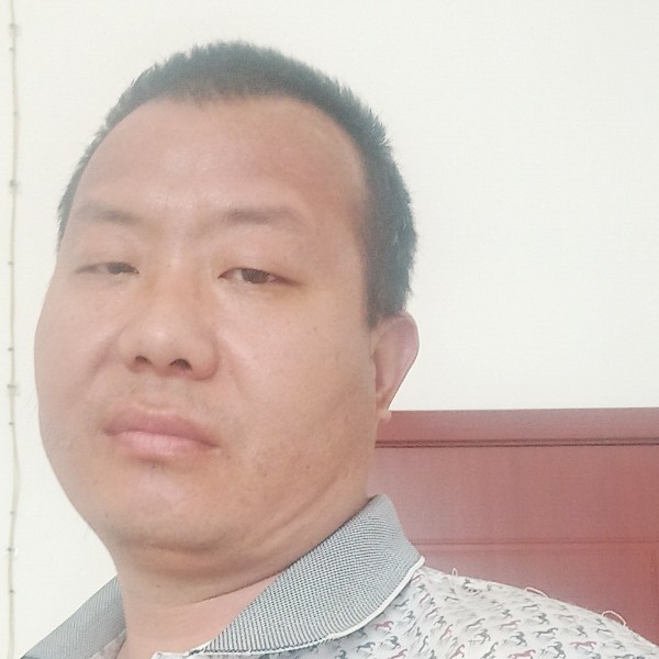 健忘相许猫咪的照片