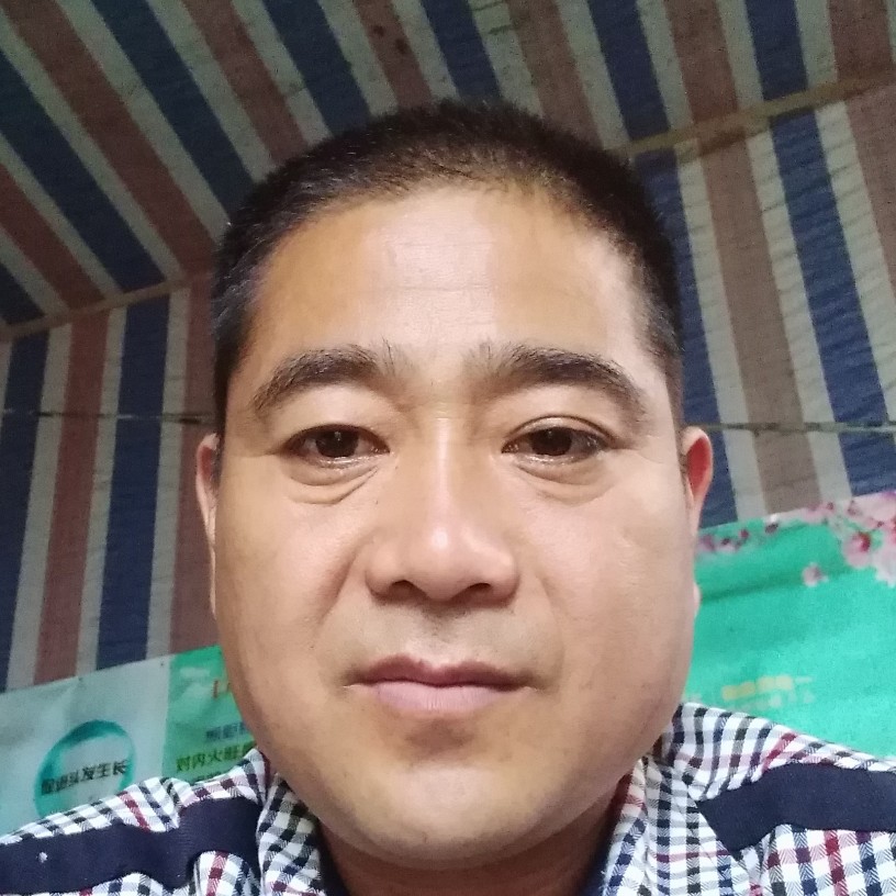 聪慧和铃铛的照片