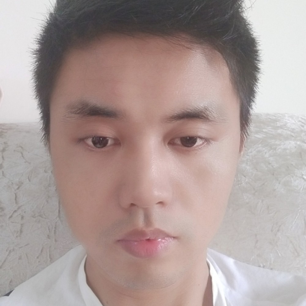 孤独等待大象的照片