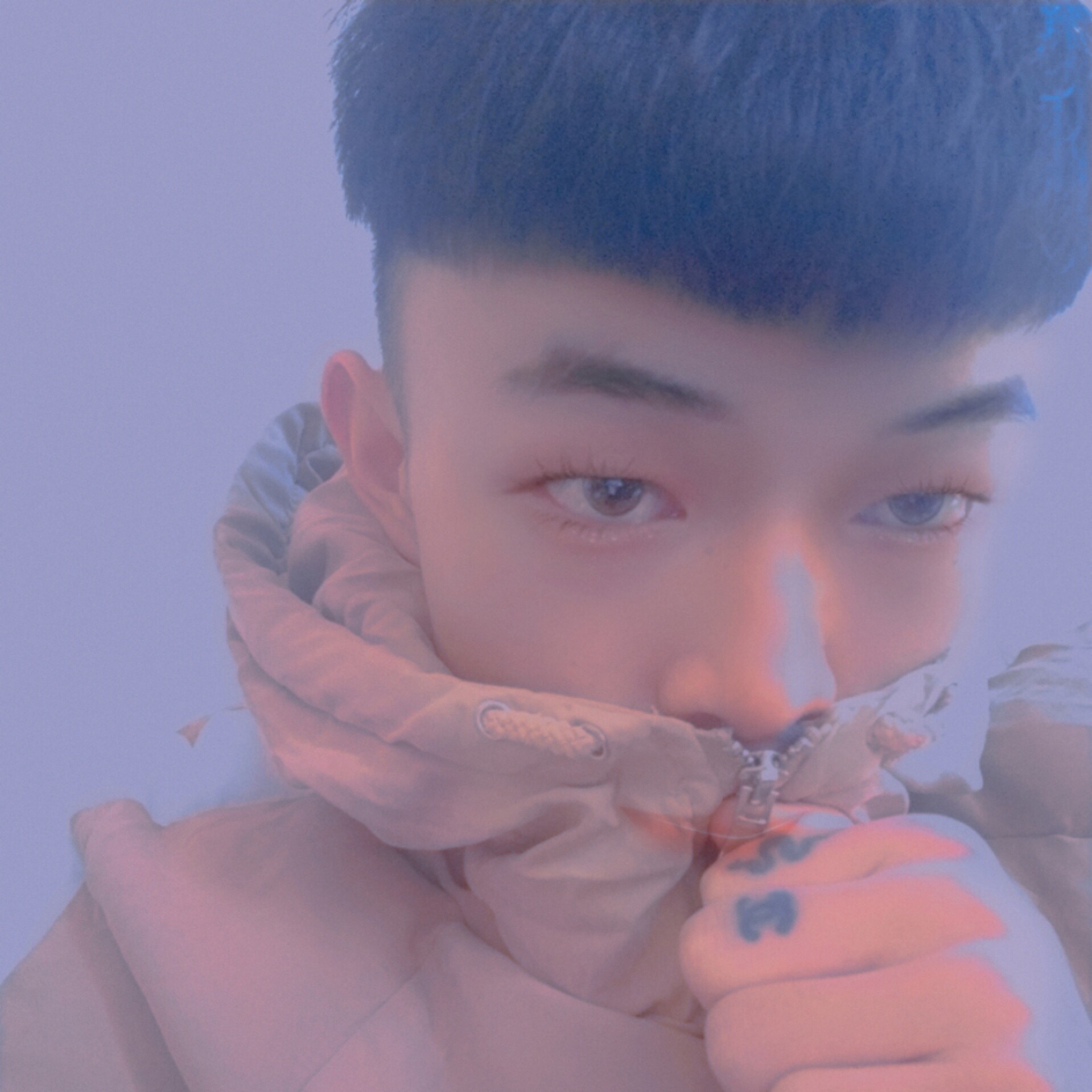 鸭子迎勤恳的照片