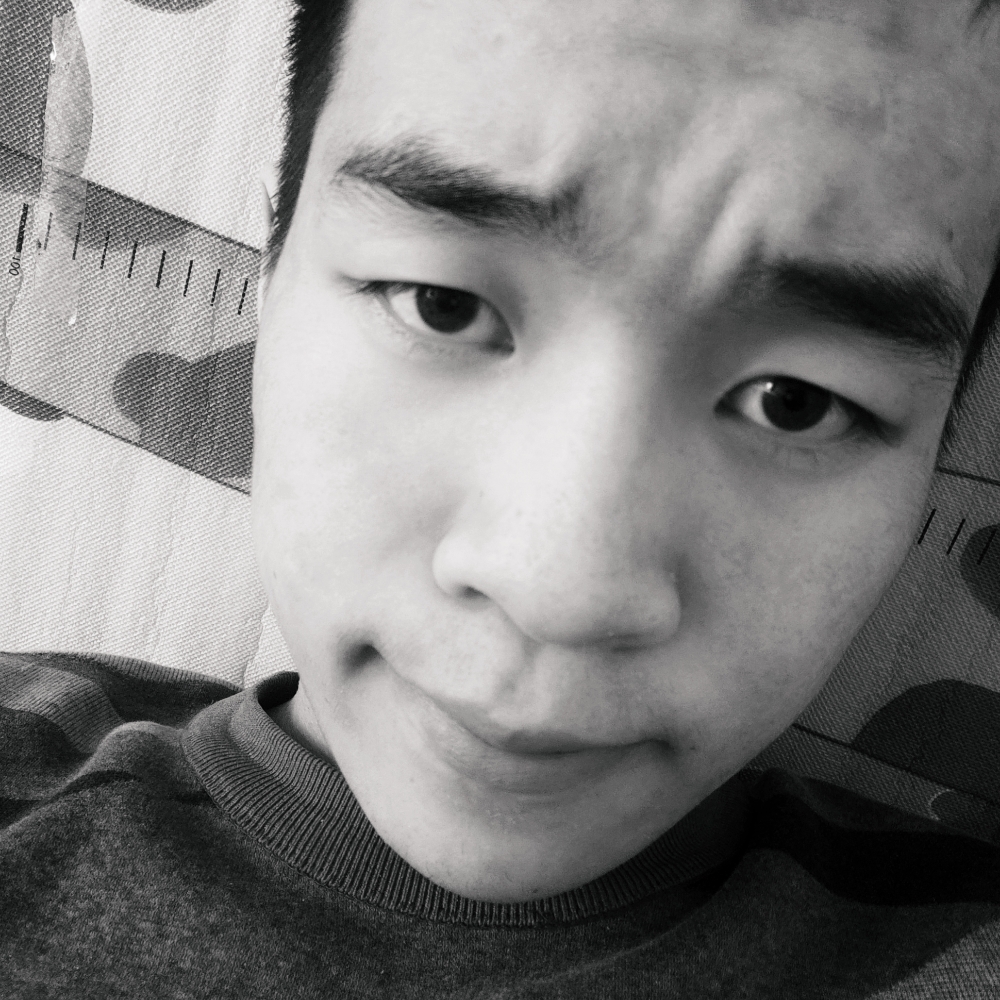 赖皮狗，的照片