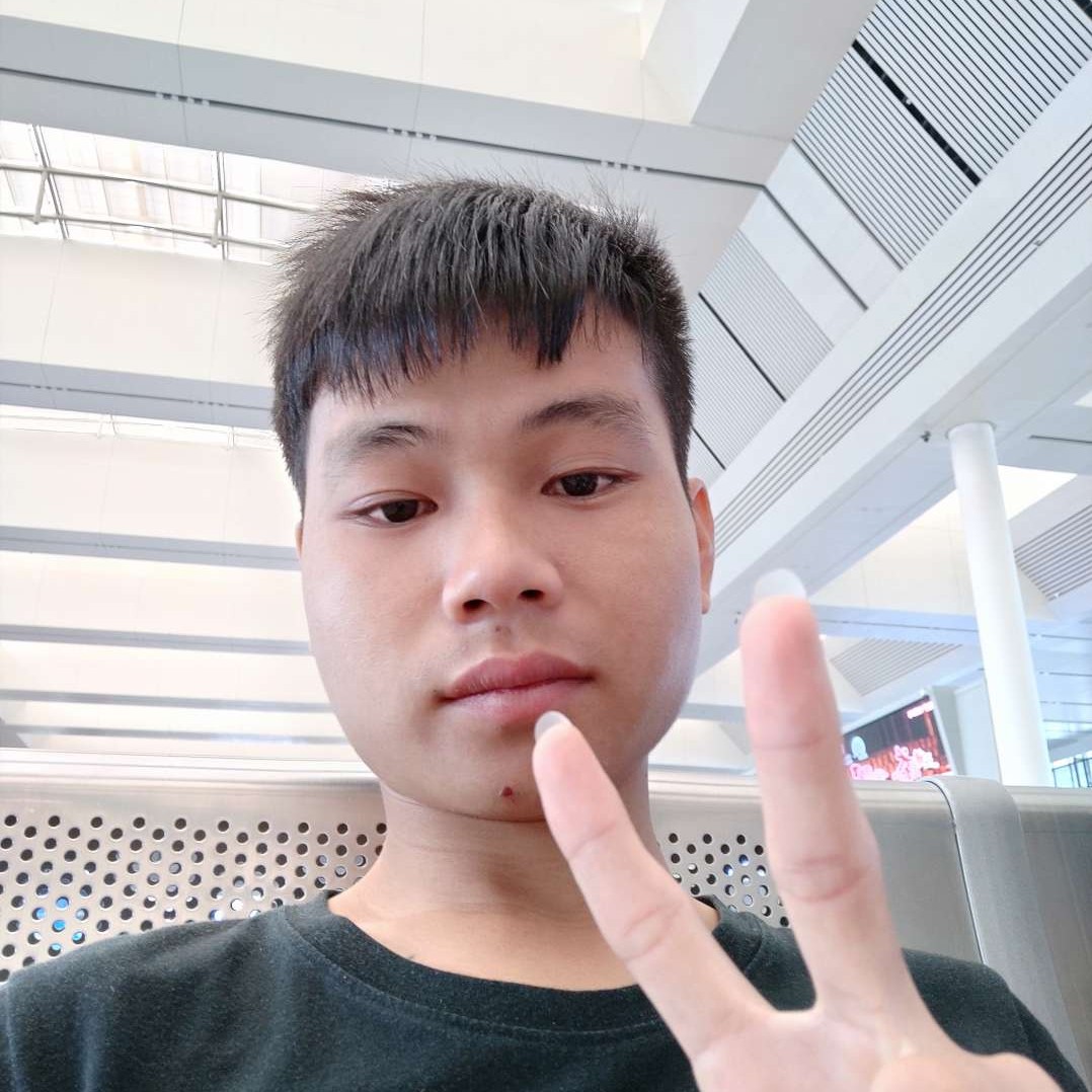 白猫爱恋谨慎的照片