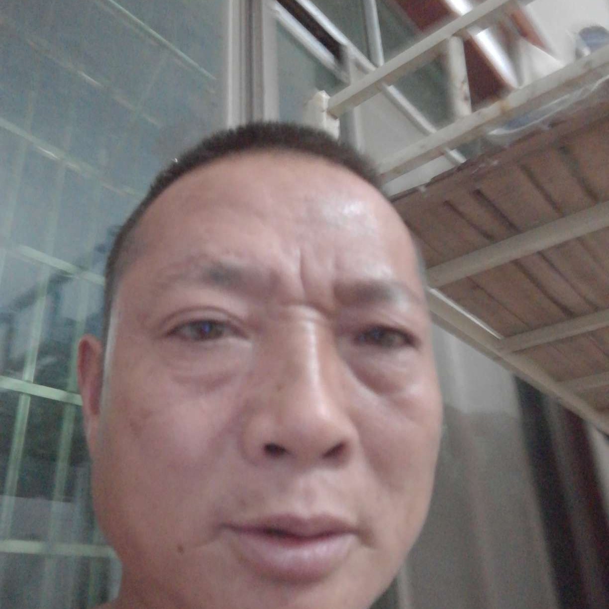 含羞草放弃完美的照片