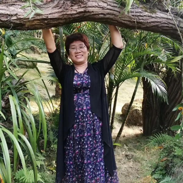 向日葵倾心旧时光的照片