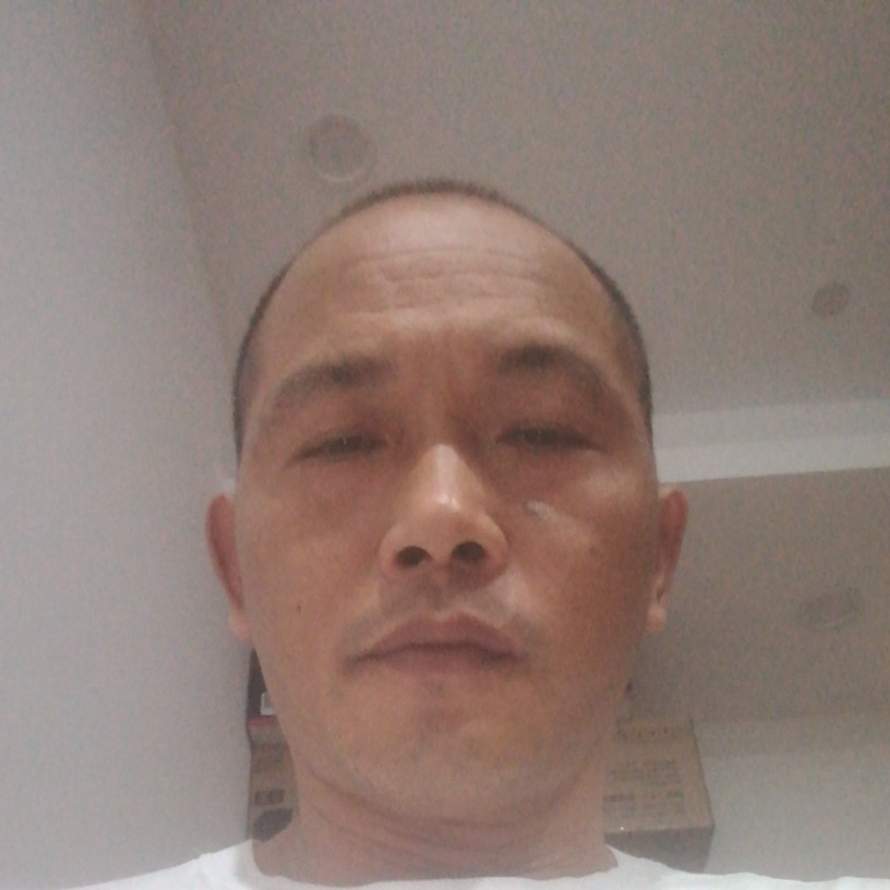 粗犷吃醋红玫瑰的照片