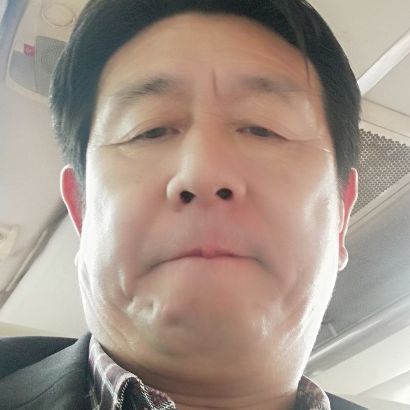 蝶舞漫步温婉的照片