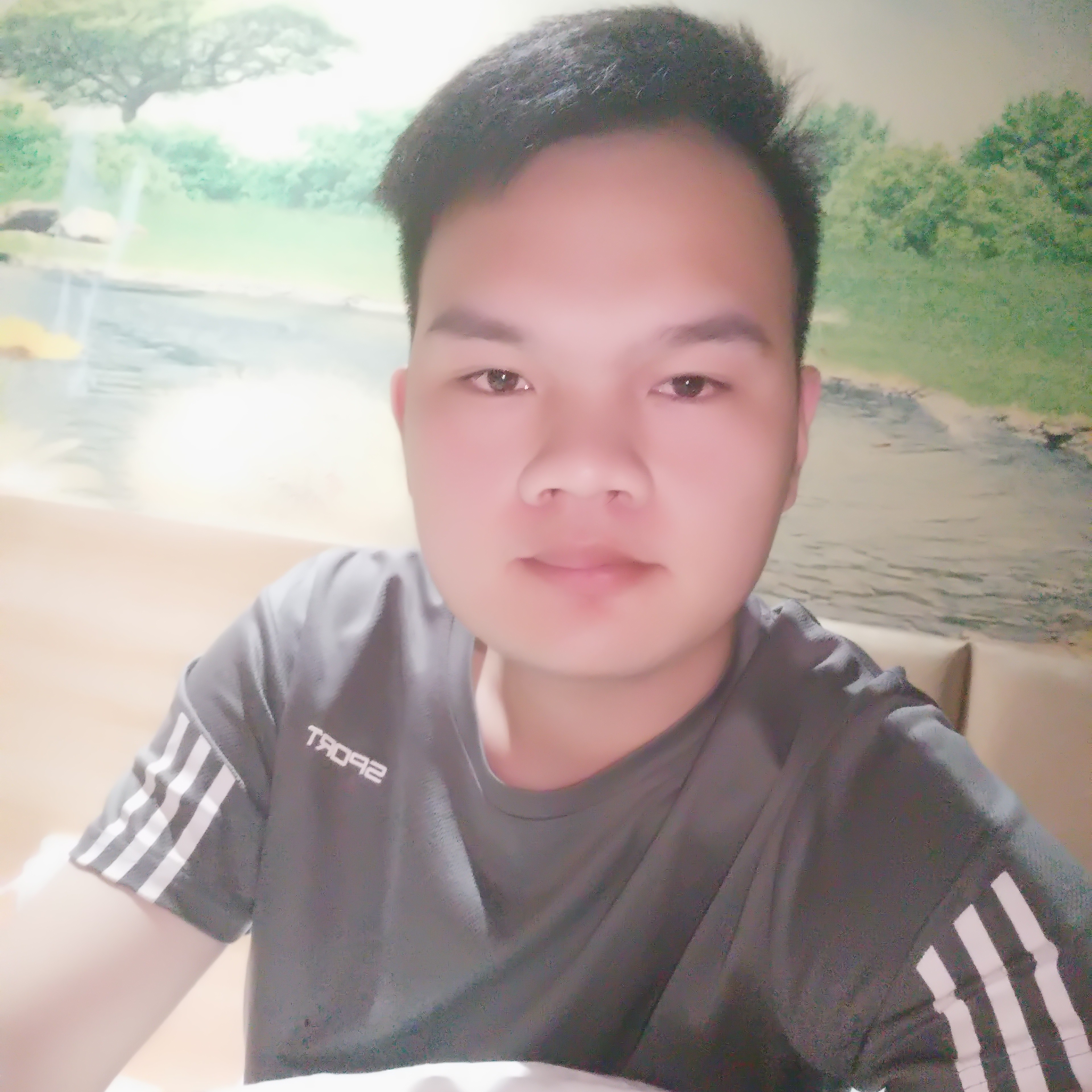 小刺猬愿无情的照片