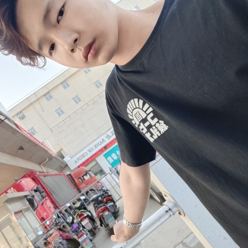 心劫帅气戴总的照片