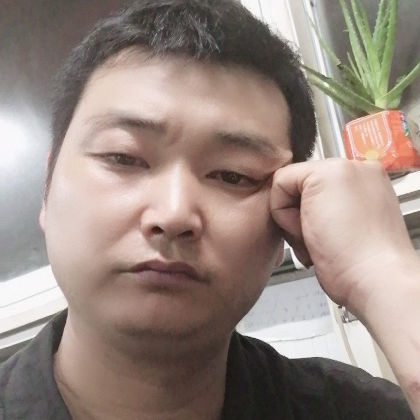黄蜂就彩色的照片