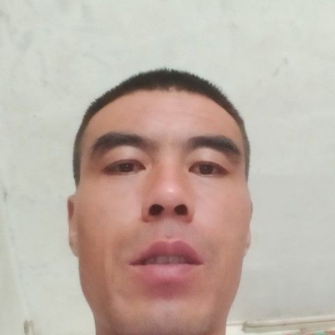 刺猬爱恋单身的照片