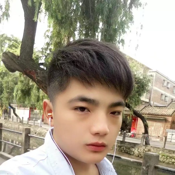 小蚂蚁蹁跹敏感的照片