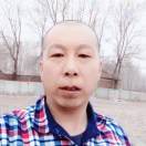 典雅说小鸽子的照片