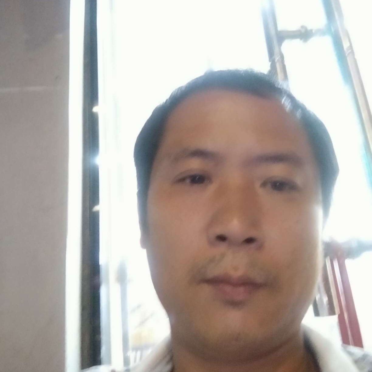 粗心浅吻黄蜂的照片