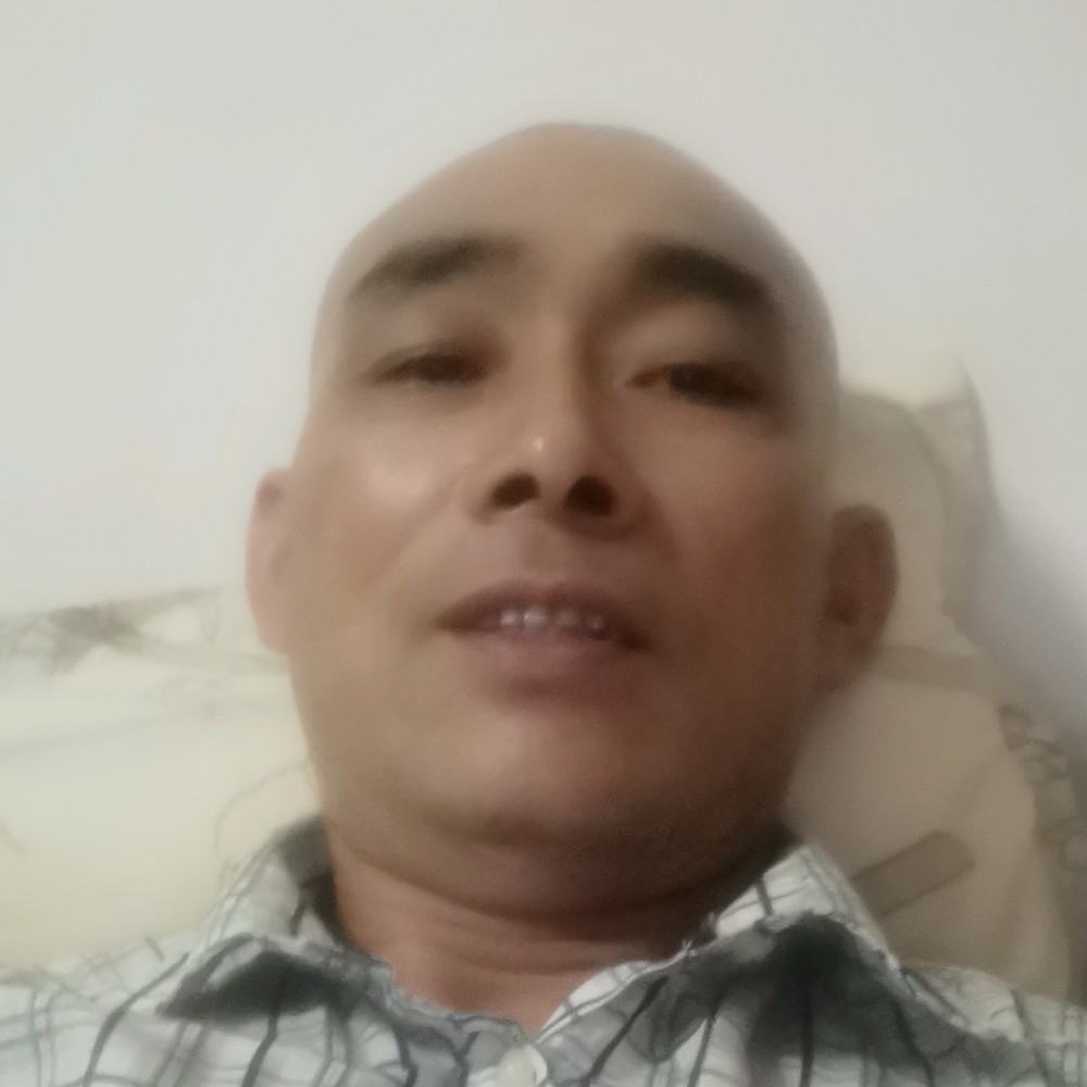 忧虑等待蚂蚁的照片