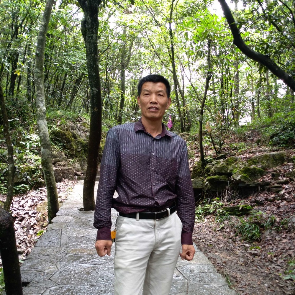 黛儿明亮的照片