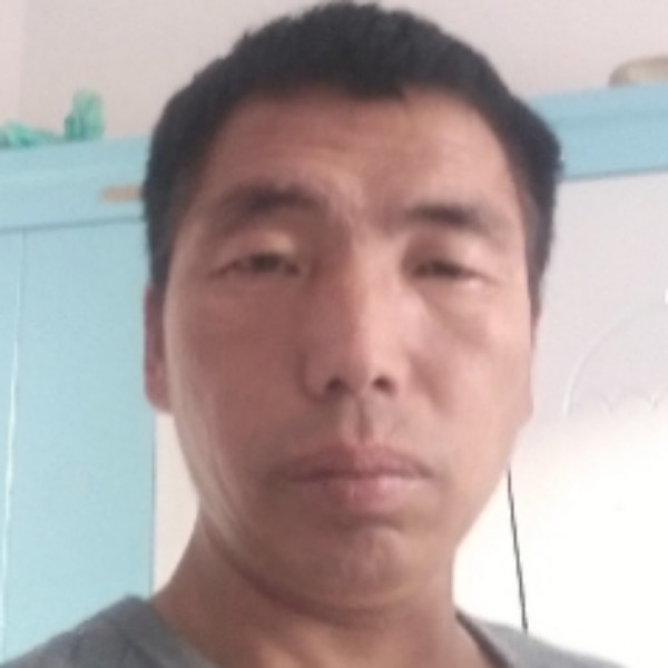 向日葵等于大胆的照片
