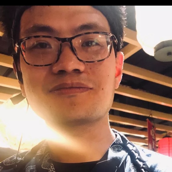 专注小海豚的照片