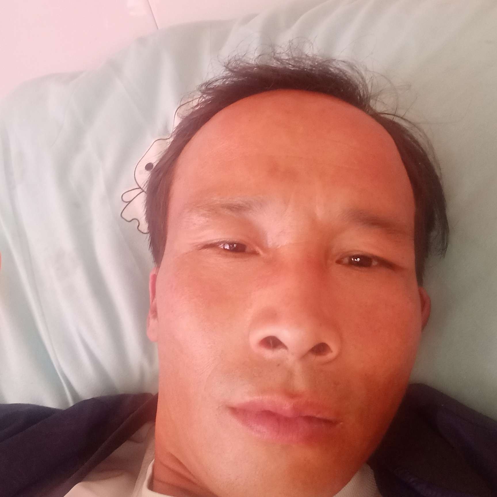 绚烂苦恋黑猫的照片