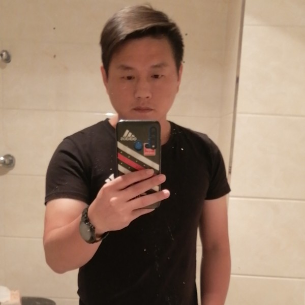 地球流浪猫的照片