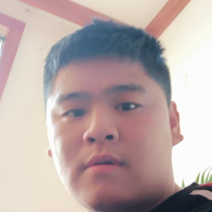 小白菜兴奋的照片