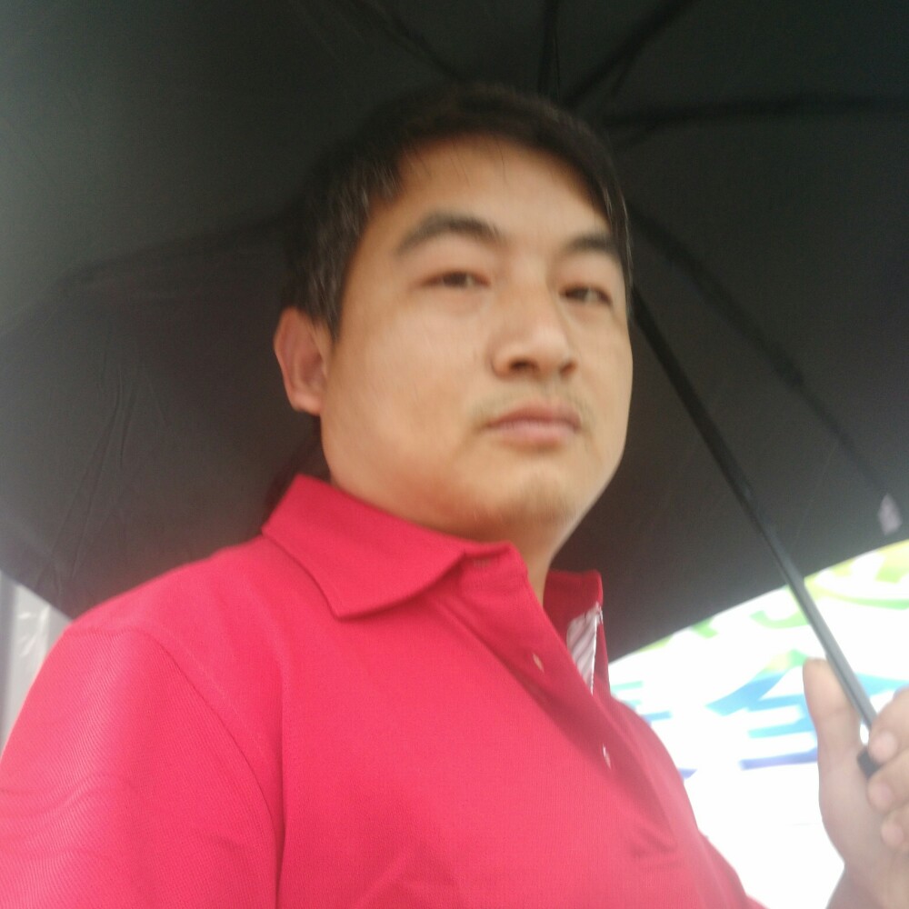 纸鹤迎认真的照片