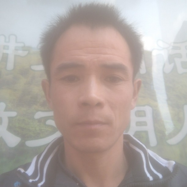 会员901589225的照片