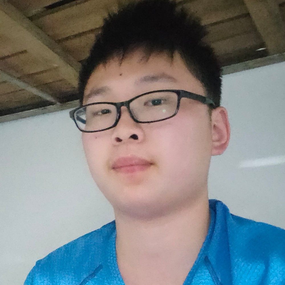 专一的小海豚的照片