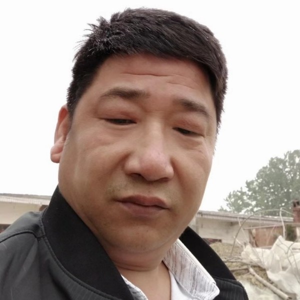 短靴坚定的照片