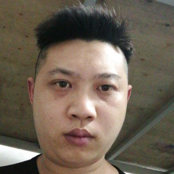 小猫咪清爽的照片