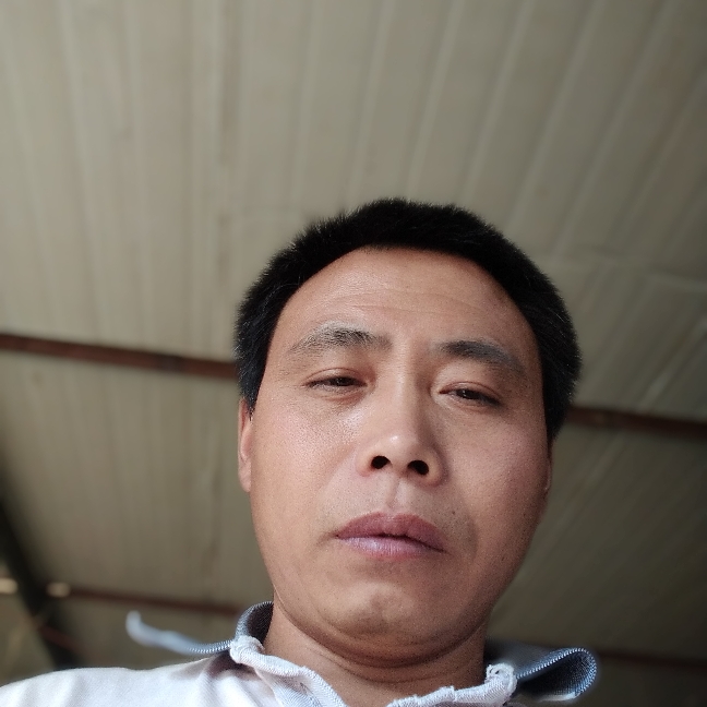 自信演变蜜粉的照片