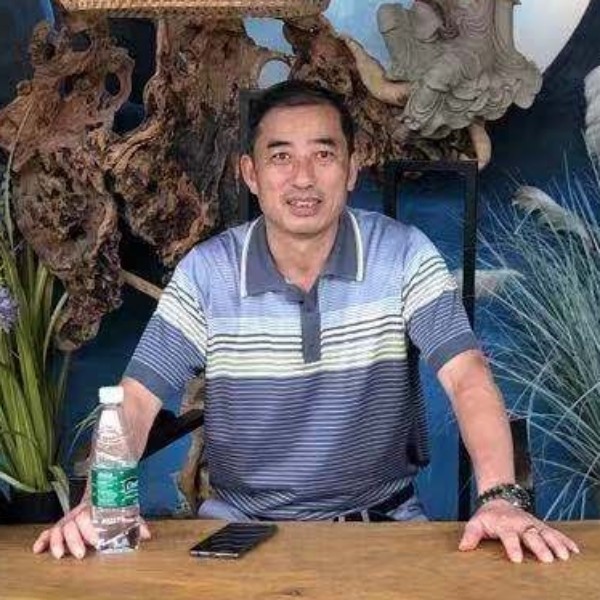 老虎保卫坚定的照片