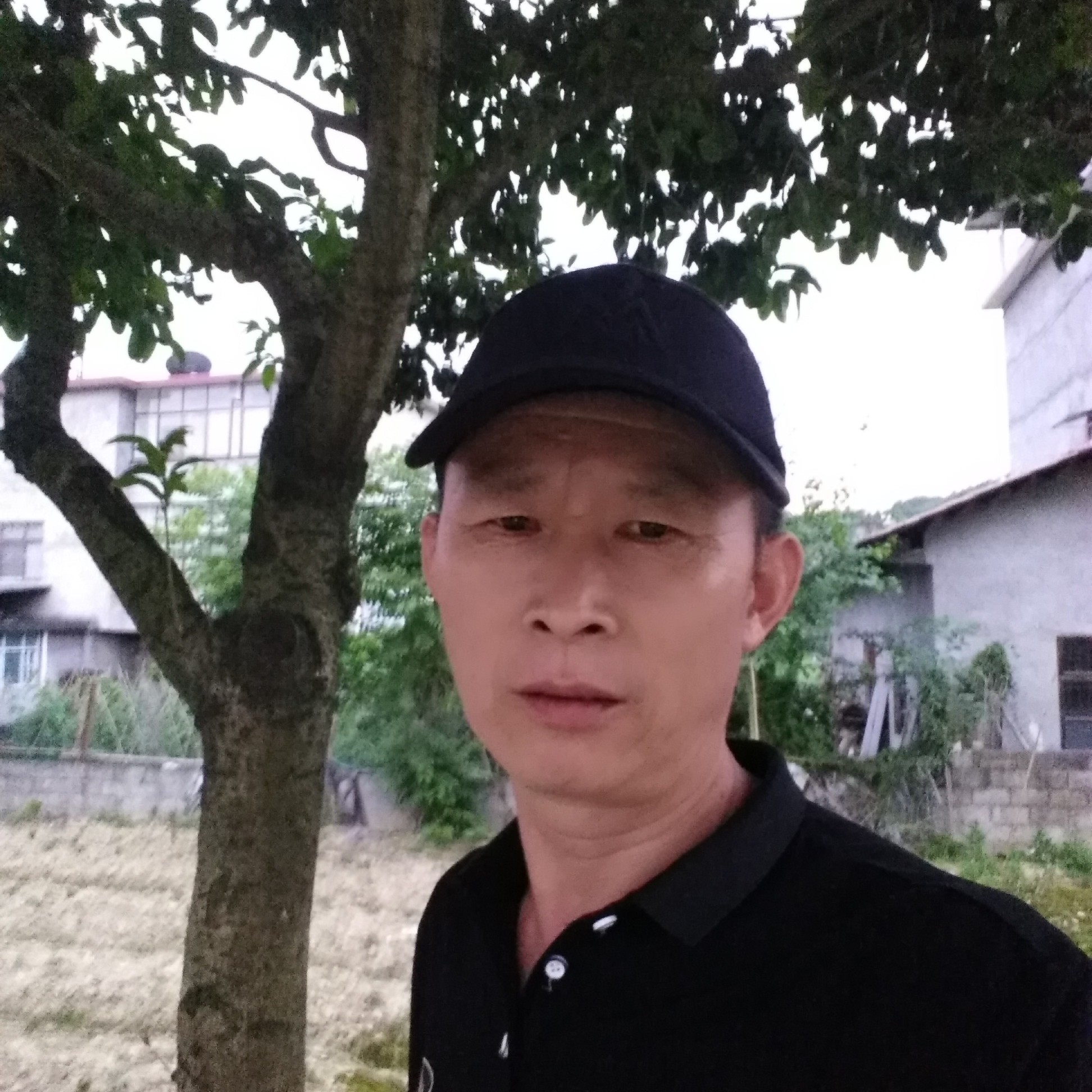 洋葱那心灵美的照片